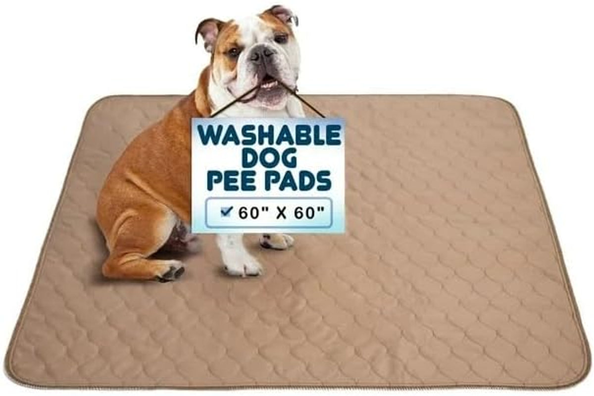 Reusable Dog Pee Pads - Dogs Waterproof Training Pads - Washable & Sanitary - Rounded Corners - Laminated, Lightweight, Durable - Pet Essentials Puppy Training, Whelping - 60" X 60"