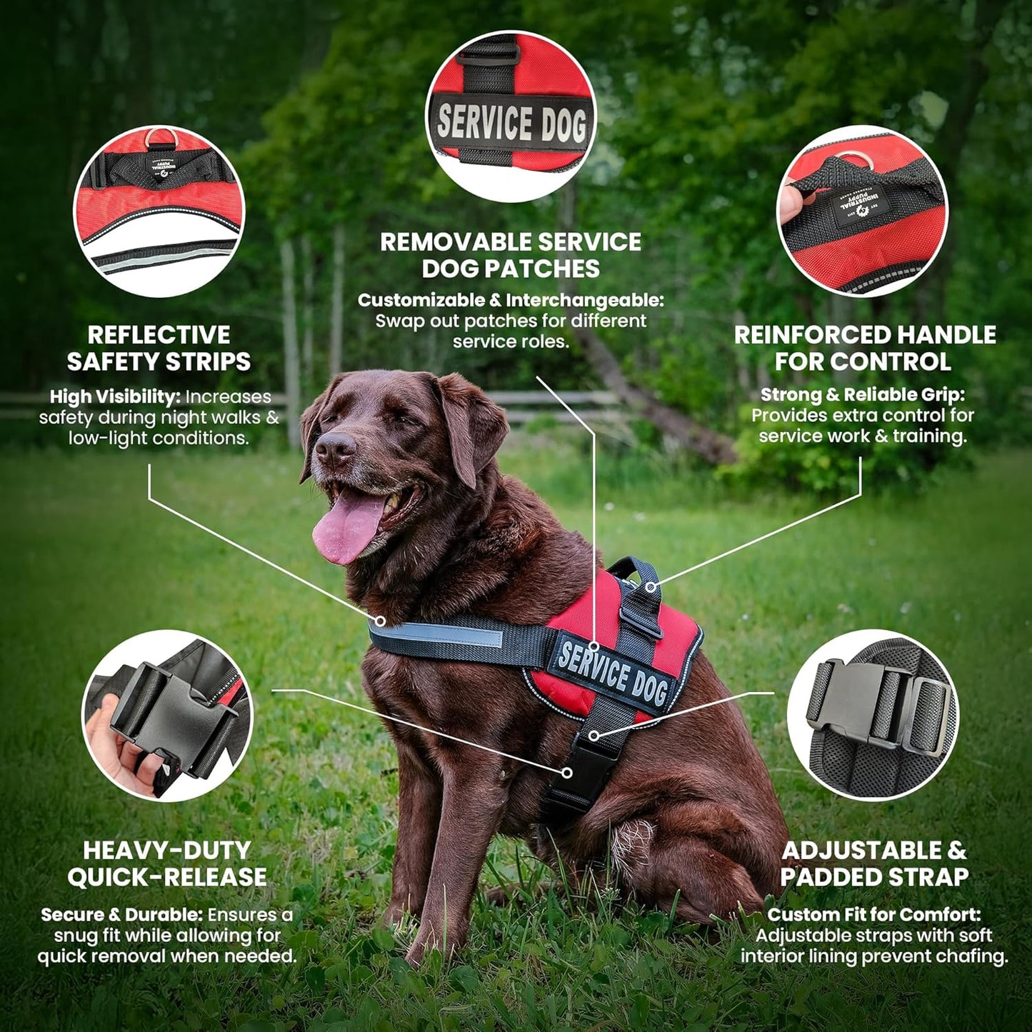 Service Dog Vest with Handle, No Pull Dog Harness for Large Dogs, Reflective Straps, Removable Patches Training Vest (Small - Large Breeds)