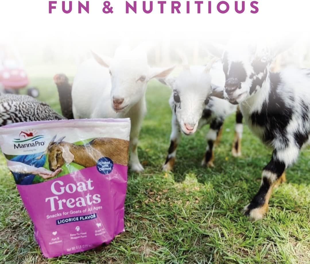 Goat Treats, Licorice Flavor, Nutritious Goat Snacks with Oatmeal, Great Goat Supplements Alternative, Ideal for Goats, Sheep & Small Livestock, 6 Lb