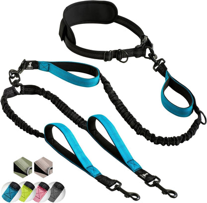 Hands Free Double Dog Leash – Dual Leash for Medium and Large Breeds – Lead for 2 Dogs with Padded Handles, Reflective Stitches, No Pull, Tangle Free